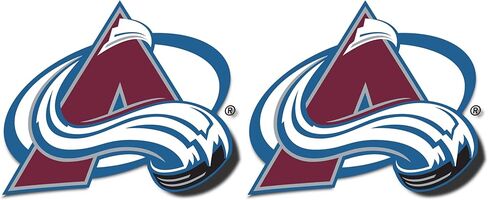 Desert Cactus Colorado Avalanche Sticker NHL Team National Hockey League Vinyl Decal Laptop Water Bottle Car Scrapbook (Individual A) in Saudi Arabia