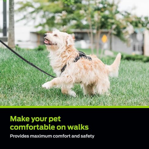 Premier Pet No Pet No Pull Comfort Dog Harness - متوسطة وقابلة للتعديل للكلاب 30-70 رطلاً ، تقليل السحب على المشي ، خياطة عاكسة ، مقبض مبطن للتحكم الإضافي ، مرفق المقود الأمامي in Kuwait