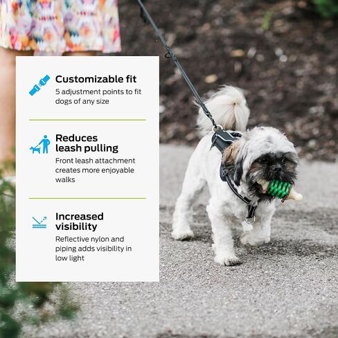 Premier Pet No Pet No Pull Comfort Dog Harness - متوسطة وقابلة للتعديل للكلاب 30-70 رطلاً ، تقليل السحب على المشي ، خياطة عاكسة ، مقبض مبطن للتحكم الإضافي ، مرفق المقود الأمامي in Kuwait