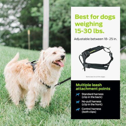 Premier Pet No Pet No Pull Comfort Dog Harness - متوسطة وقابلة للتعديل للكلاب 30-70 رطلاً ، تقليل السحب على المشي ، خياطة عاكسة ، مقبض مبطن للتحكم الإضافي ، مرفق المقود الأمامي in Kuwait