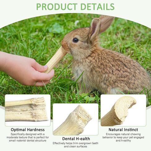 Tfwadmx Small Animal Snacks Sweet Bamboo Treats 200 g Bunny Chew Toys for Chinchilla Rabbit Guinea Pig Hamster Squirrel (About 22-27 Sticks) in Kuwait