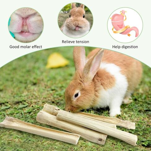 Tfwadmx Small Animal Snacks Sweet Bamboo Treats 200 g Bunny Chew Toys for Chinchilla Rabbit Guinea Pig Hamster Squirrel (About 22-27 Sticks) in Kuwait