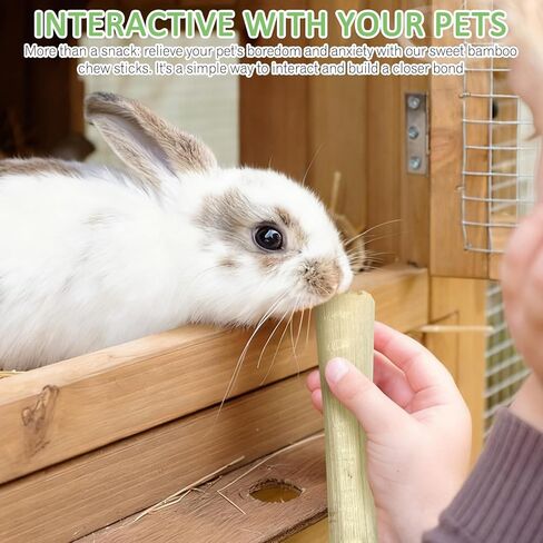 Tfwadmx Small Animal Snacks Sweet Bamboo Treats 200 g Bunny Chew Toys for Chinchilla Rabbit Guinea Pig Hamster Squirrel (About 22-27 Sticks) in Kuwait
