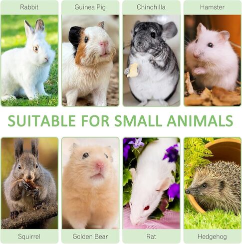 Tfwadmx Small Animal Snacks Sweet Bamboo Treats 200 g Bunny Chew Toys for Chinchilla Rabbit Guinea Pig Hamster Squirrel (About 22-27 Sticks) in Kuwait