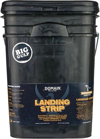Domain Outdoor Landing Strip Food Plot Seed, Special Varieties of Millet and Sorghum, Designed to Attract and Provide Cover and Food for Waterfowl, Upland Birds and Deer, ¼ Acre in Kuwait