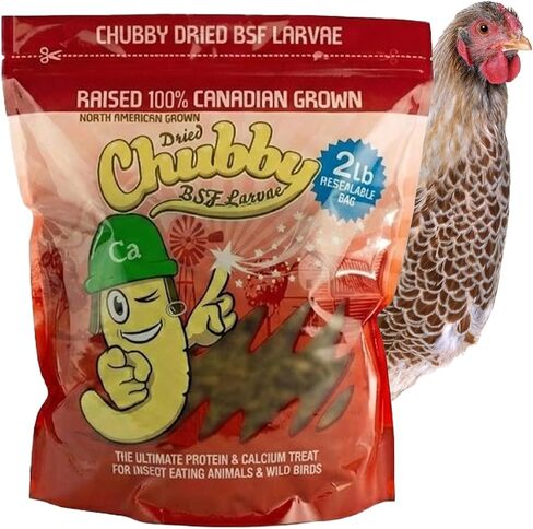 2Lbs Chubby Dried Black Soldier Fly Larvae 100% Made in The USA High Calcium Organic Dried BSF Larva for Chickens Protein Snack for Laying Hens, Wild Birds & Reptiles in Saudi Arabia