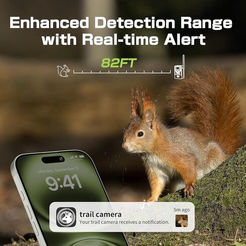 Light Bulb Security Camera Outdoor 5G&2.4G Dual IP65 Waterproof in Kuwait