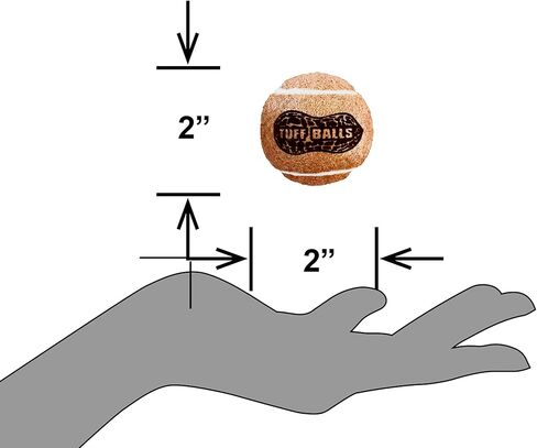 Petsport Junior Peanut Butter Tuff Dog Toys | 6 Pack Jr. (1.8 ") PET SAFE FOLED & DANENT RARBER CARBER in Kuwait