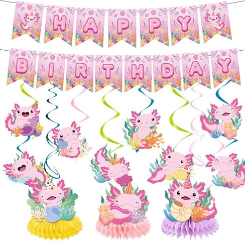 Chicken Birthday Party Decorations, 11PCS Chicken Farm Birthday Party Supplies, Chicken Chick Theme Birthday Banners Hanging Swirls Honeycomb Centerpieces Decor in Kuwait
