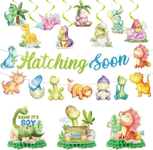 Chicken Birthday Party Decorations, 11PCS Chicken Farm Birthday Party Supplies, Chicken Chick Theme Birthday Banners Hanging Swirls Honeycomb Centerpieces Decor in Kuwait