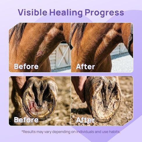 HICC PET Dog Wound Care Hydro Gel, Heals Wounds, Soothes Inflammation, Prevents Infection, Treats Bites, Scratches & Skin Ulcers, Cat Wound Care Solution, Safe for All Animals, 3.4 Ounces in Kuwait