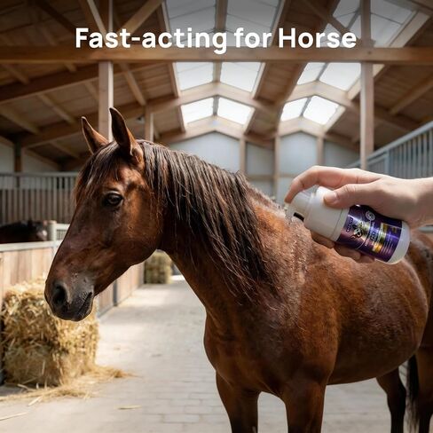 HICC PET Dog Wound Care Hydro Gel, Heals Wounds, Soothes Inflammation, Prevents Infection, Treats Bites, Scratches & Skin Ulcers, Cat Wound Care Solution, Safe for All Animals, 3.4 Ounces in Kuwait