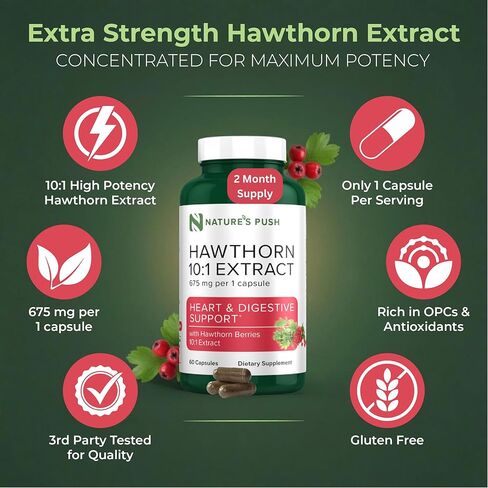 كبسولات مستخلص توت الزعرور فائقة الفعالية - 6,750 مجم 10:1 لدعم الهضم وصحة القلب ونسبة السكر في الدم - كبسولات توت الزعرور ذات القوة الإضافية - خالية من الكائنات المعدلة وراثيًا وخالية من الغلوتين، نباتية وفقًا لممارسات التصنيع الجيدة في الولايات المتحدة  in Kuwait