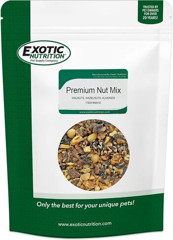 Exotic Nutrition Premium Nut Mix - Unroasted, Unsalted Walnuts, Hazelnuts, Almonds - Food & Treat for Grey Squirrels, Ground Squirrels, Flying Squirrels, Parrots & Other Small Pets (5 lb.) in Saudi Arabia