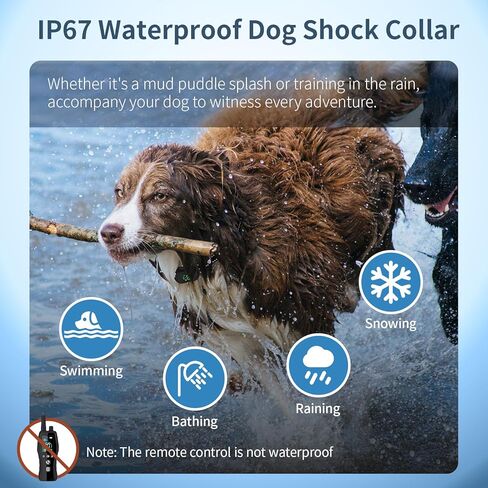 طوق تدريب على صدمة الكلاب 4900 قدم طوق مدرب الحيوانات الأليفة مع وظيفة عن بُعد/مكالمة/طوق كهربائي مضاد للماء للكلاب القابلة لإعادة الشحن لجميع السلالات ، 3 أوضاع تدريب (10-120s) in Kuwait
