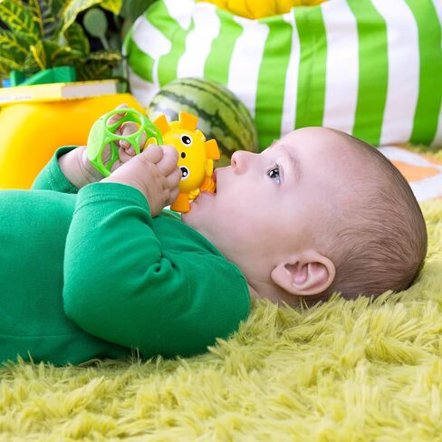 يبدأ مشرق من Oball Easy-Grasp Rattle Bepa Free Infant ، مجموعة Baby Ball & Teether ، حديثي الولادة في العمر وأعلى ، 4 بوصات in Kuwait