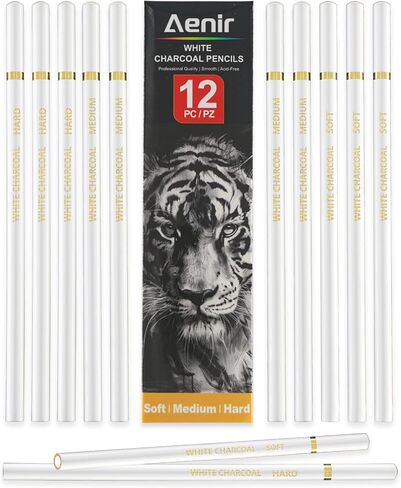 Charcoal Pencils for drawing, Set of 12, Charcoal Drawing Pencils (S-Soft, Soft, Medium, Hard), Art Supplies for Artist, Sketching, Shading in Saudi Arabia