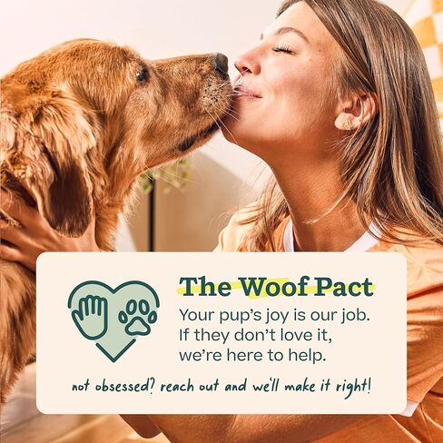 تصفح Blyof Bullysafe و Bully - عصي المضغ المغذية للكلاب وحامل عصا الفتوة للعب آمن طويل الأمد - لا مزيد من الأطراف المبللة - 6 "العصي - 5 عبوة in Kuwait