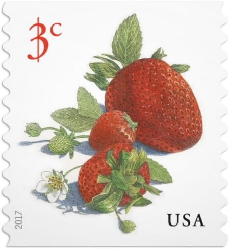 Strawberries 2017 3-Cent (Roll of 100) Denominated Mail-use Additional Postage Stamps in Kuwait