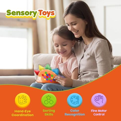 Color Sorting Toys Sensory Toys : Fine Motor Skill Games Learning Toys for Toddlers, Color Matching Preschool Activities Educational Calm Down Toys Montessori Toys for Kids Boys Girls Gifts Ages 3+ in Kuwait