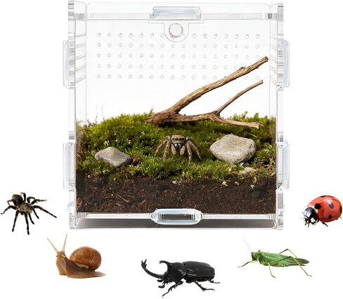 Transparent Jumping Spider Enclosure, Acrylic Reptile Terrarium Enclosure, Small Reptiles Habitat Tank Breeding Box for Tarantula Insect (Small) in Kuwait