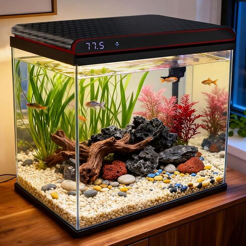 2 Gallon Fish Tank, Small Glass Aquarium, Self-Cleaning Filtration System, 7-Color LED Plant Light,Ultra Quiet Suitable for Children's Rooms Decorating, for Beta Fish, Shrimp, Goldfish, Tropical Fish in Kuwait