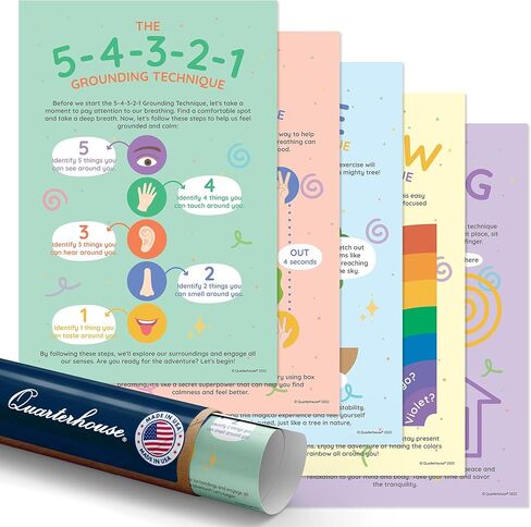 Quarterhouse 5 Pack of Stowering Techniques Posters ، وعلم النفس في الفصل الدراسي. in Saudi Arabia