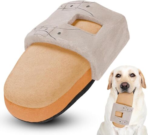 Remote Control Funny Dog Toy with Squeaker and Crinkle - Cute Funny Parody Toys - Puppy and Dog Toys for Small, Medium and Large Dogs - Pet Birthday Gifts in Kuwait