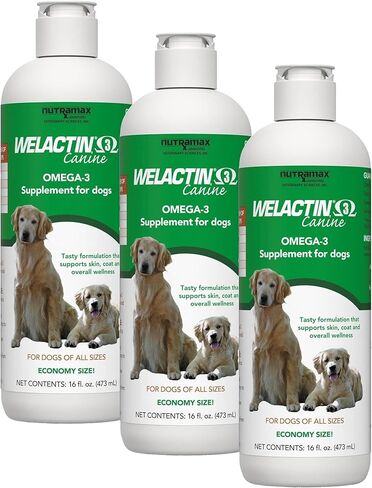 Nutramax welactin Omega -3 السمكة زيت السمك ومعطف المكملات الصحية السائل للكلاب - 16 أونصة in Kuwait