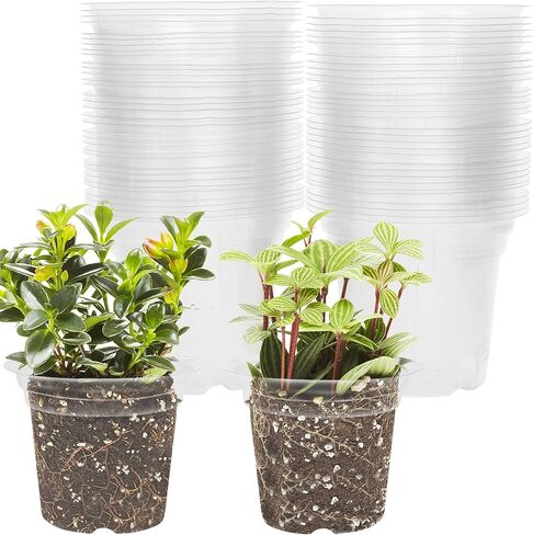 Winemana 36 مجموعة أواني حضانة النبات مع قبة الرطوبة ، أواني الخث الحيوية القابلة للتحلل ، الشتلات ، أواني زراعة مع ملصقات للحديقة الخارجية الداخلية في الهواء الطلق in Kuwait