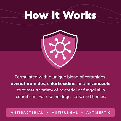 شامبو CeraSoothe® CHX+MC المطهر، 16 أونصة in Kuwait