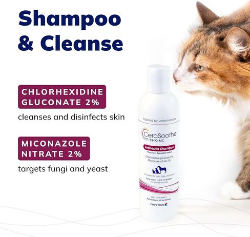 شامبو CeraSoothe® CHX+MC المطهر، 16 أونصة in Kuwait