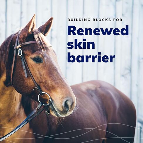 شامبو CeraSoothe® CHX+MC المطهر، 16 أونصة in Kuwait