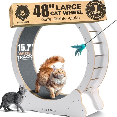 48'' Golden XL Cat Wheel - Cat Wheels for Indoor Cats Which Doesn't Negatively Affect Your Cat's Spine – 15.7'' Extra Wide Cat Treadmill - Fits 2 Cats Side-by-Side, 1-Year Warranty in Saudi Arabia
