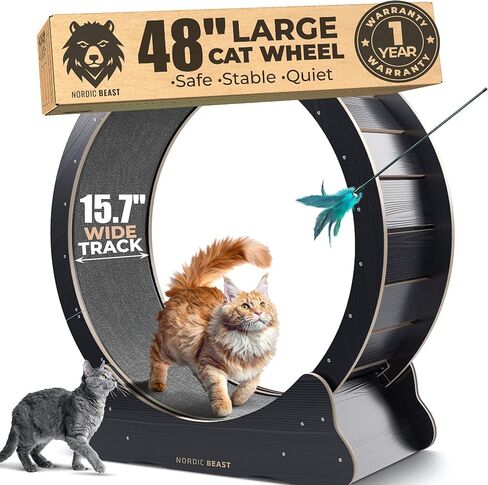 48'' Golden XL Cat Wheel - Cat Wheels for Indoor Cats Which Doesn't Negatively Affect Your Cat's Spine – 15.7'' Extra Wide Cat Treadmill - Fits 2 Cats Side-by-Side, 1-Year Warranty in Saudi Arabia