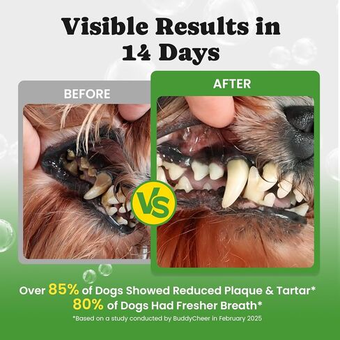 Dog Teeth Cleaning Powder, Dog Dental Powder and Cats Breath Freshener, Plaque Off Pet Tooth Cleaning lab co, Bad Breath & Tartar Remover for Dogs, Dog Teeth Cleaning with Enzymes- 60-Day Supply -Mint in Kuwait