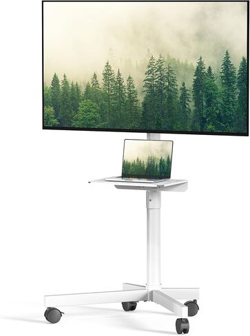 Mobile TV Cart Rolling TV Stand for 23-60 Inch LCD LED OLED Flat Curved Screens up to 88 lbs, Height Adjustable Portable TV Cart with Locking Wheels, Outdoor TV Stand Mount, Max VESA 400x400mm in Saudi Arabia