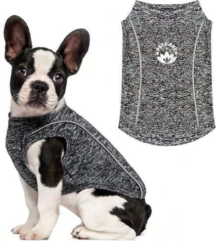 PETCARE Dog Shirt Clothes for Small Medium Dogs Cats Reflective Soft Stretchy Sun Protection Dog T-Shirts Cooling Vest Puppy Chihuahua Yorkie Shih Tzu Clothes Dachshund French Bulldog Pet Outfit in Saudi Arabia