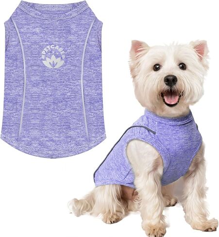 PETCARE Dog Shirt Clothes for Small Medium Dogs Cats Reflective Soft Stretchy Sun Protection Dog T-Shirts Cooling Vest Puppy Chihuahua Yorkie Shih Tzu Clothes Dachshund French Bulldog Pet Outfit in Saudi Arabia