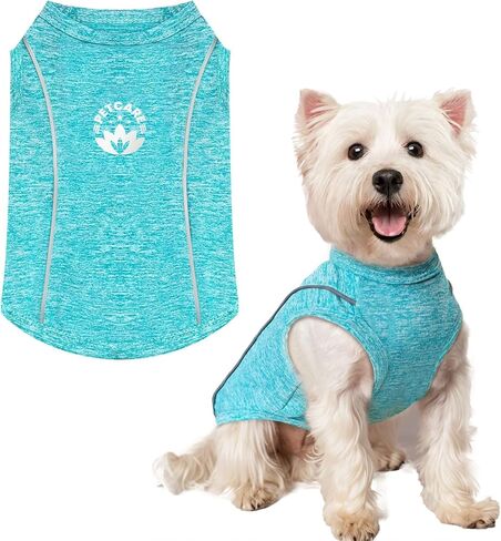 PETCARE Dog Shirt Clothes for Small Medium Dogs Cats Reflective Soft Stretchy Sun Protection Dog T-Shirts Cooling Vest Puppy Chihuahua Yorkie Shih Tzu Clothes Dachshund French Bulldog Pet Outfit in Saudi Arabia