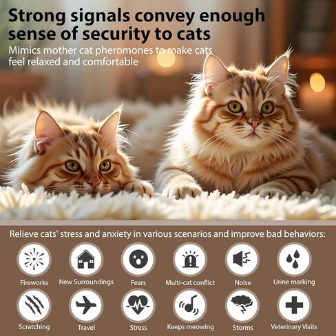 Cat Pheromones Calming Diffuser Refill 6 Pack Cat Calm Pheromones for Cats Refills Relieve Anxiety Stress Reduce Spraying Fighting 48ml/Bottle Fit All Common Diffusers Plug in in Kuwait