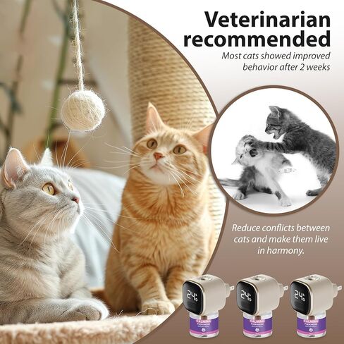 Cat Pheromones Calming Diffuser Refill 6 Pack Cat Calm Pheromones for Cats Refills Relieve Anxiety Stress Reduce Spraying Fighting 48ml/Bottle Fit All Common Diffusers Plug in in Kuwait