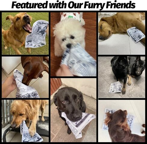 Interactive Dog Toys for Boredom - Newspaper Squeaker Toys - 4PCS Newspaper Dog Toy for Puppy Small Medium Furry Friends in Kuwait