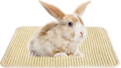 2PCS Large Rabbit Scratching Pad Indoor Edible for Claws and Teeth Grinding Chew Toys, Rabbit Mat for Cages Chew Pad, Rabbit Toys Boredom, Natural Bunny Scratcher pad, Bunny Mat Chew, 16x12 in Kuwait