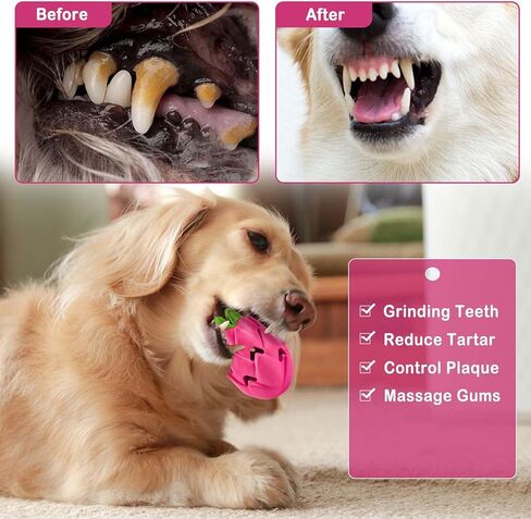 ألعاب Auscat Dog مضغ ، مغذية بطيئة ، ألعاب إثراء متينة ، شكل خشب in Kuwait