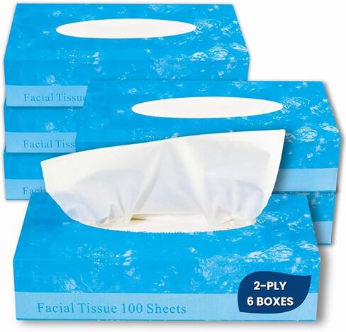 1InTheOffice Facial Tissue, Tissue Paper Box, Facial Tissue Paper, 2-Ply, Soft and Strong, Flat Box, White, 100 Sheets/Box, 6 Boxes in Saudi Arabia