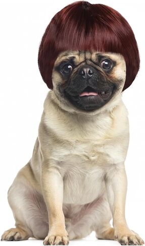 Funny Dog Wig for Small Medium Large Dogs, 7 Inches Pet Costume Adjustable Cat Cosplay Wig Decoration Elastic Headgear for Halloween, Christmas, Parties（Brown） in Kuwait