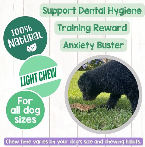 Nature Gnaws USA Lamb Lung Filets for Dogs (8oz) - Single Ingredient Natural Dog Chew Treats – Made in USA - Rawhide Free in Kuwait