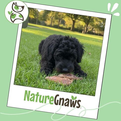 Nature Gnaws USA Lamb Lung Filets for Dogs (8oz) - Single Ingredient Natural Dog Chew Treats – Made in USA - Rawhide Free in Kuwait