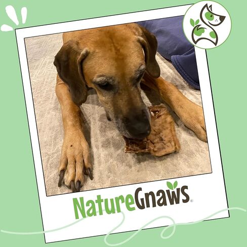 Nature Gnaws USA Lamb Lung Filets for Dogs (8oz) - Single Ingredient Natural Dog Chew Treats – Made in USA - Rawhide Free in Kuwait